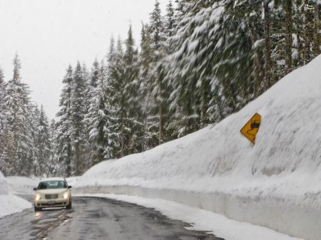 اخبارگوناگون,خبرهای گوناگون,برف