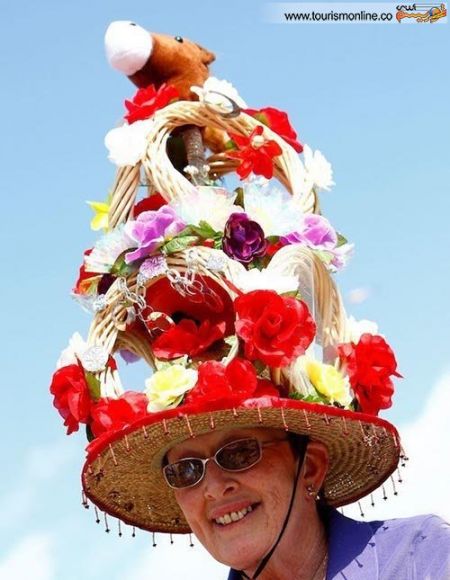 اخبارگوناگون,خبرهای گوناگون,مسابقه سوارکاری