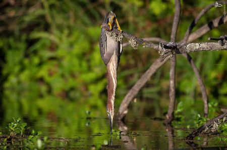 اخبارجدید,خبرهای جدید,اخبار جدید