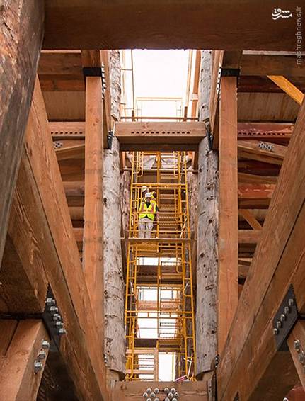 اخبارگوناگون,خبرهای گوناگون,کشتی نوح