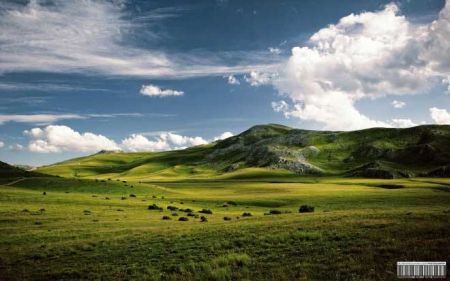 اخبارگوناگون,خبرهای گوناگون,طبیعت