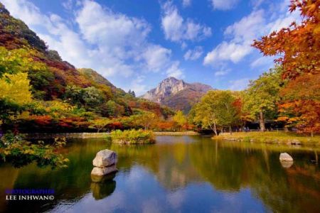 اخبارگوناگون,خبرهای گوناگون,طبیعت