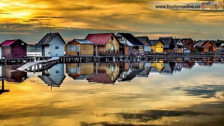 اخبارگوناگون,خبرهای گوناگون,بوکود