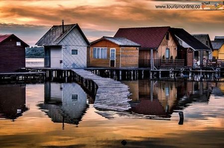 اخبارگوناگون,خبرهای گوناگون,بوکود