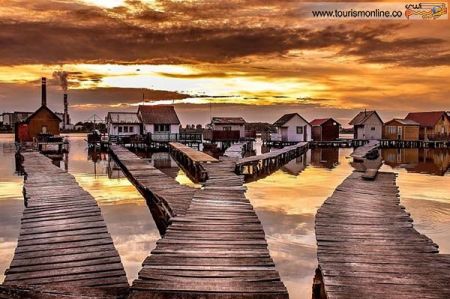 اخبارگوناگون,خبرهای گوناگون,بوکود