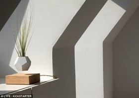 اخبارعلمی,خبرهای علمی,گلدان