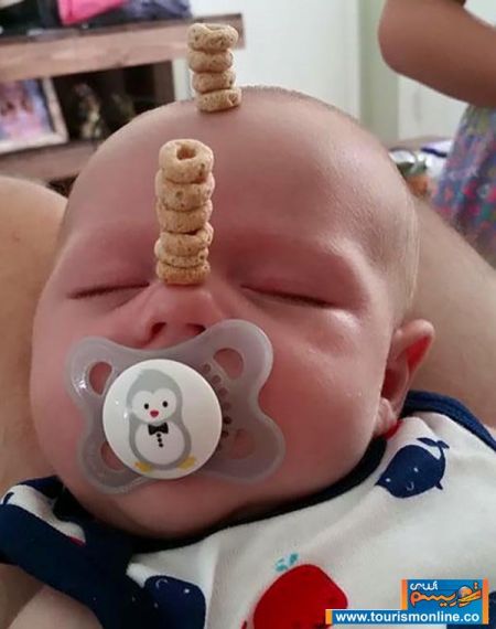 اخبارگوناگون,خبرهای گوناگون,چالش پدرانه اخبارگوناگون,خبرهای گوناگون,چالش پدرانه