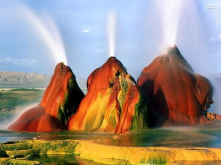 اخبارگوناگون,خبرهای گوناگون,آمریکا