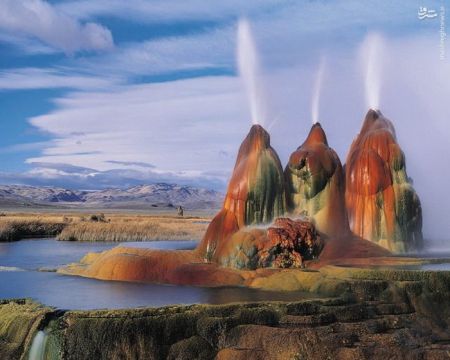 اخبارگوناگون,خبرهای گوناگون,آمریکا