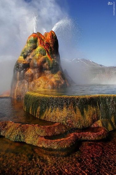 اخبارگوناگون,خبرهای گوناگون,آمریکا