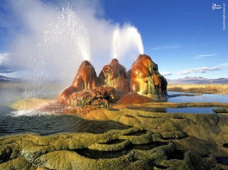 اخبارگوناگون,خبرهای گوناگون,آمریکا