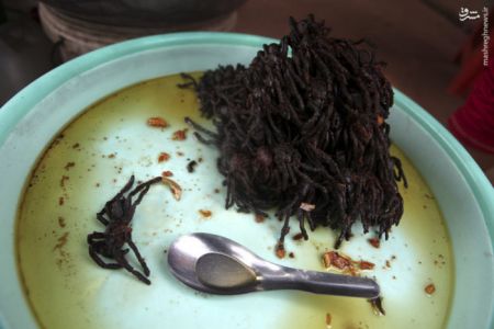 اخبارگوناگون,خبرهای گوناگون,انگکور وات اخبارگوناگون,خبرهای گوناگون,انگکور وات