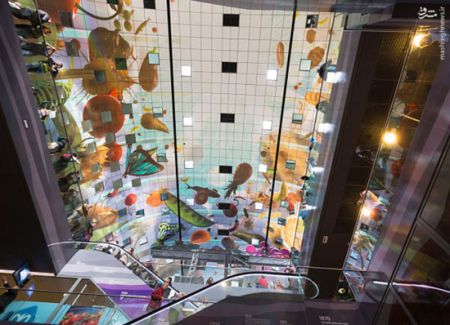 اخبار,اخبارگوناگون,بازار غذای زیبا در روتردام هلند