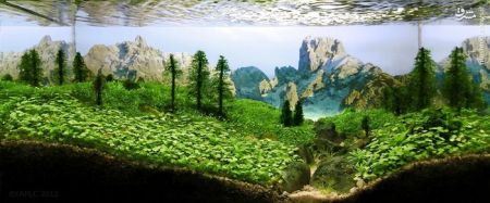 اخبارگوناگون,خبرهای گوناگون,تزئین آکواریوم