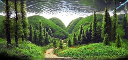 اخبارگوناگون,خبرهای گوناگون,تزئین آکواریوم