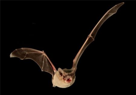 اخبارجدید,خبرهای جدید,اخبار جدید