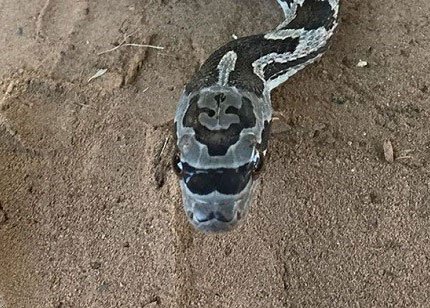 اخبارجدید,خبرهای جدید,اخبار جدید