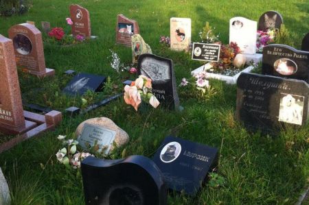 اخبارگوناگون,خبرهای گوناگون,قبرستان حیوانات