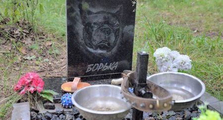 اخبارگوناگون,خبرهای گوناگون,قبرستان حیوانات