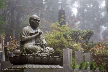 اخبارجدید,خبرهای جدید,اخبار جدید