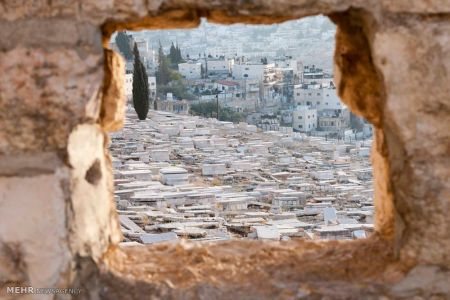 اخبارجدید,خبرهای جدید,اخبار جدید