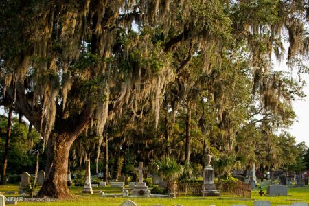 اخبارجدید,خبرهای جدید,اخبار جدید