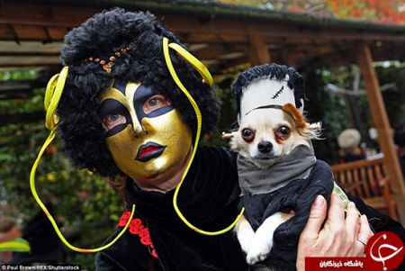 اخبارگوناگون,خبرهای گوناگون, جشن هالووین