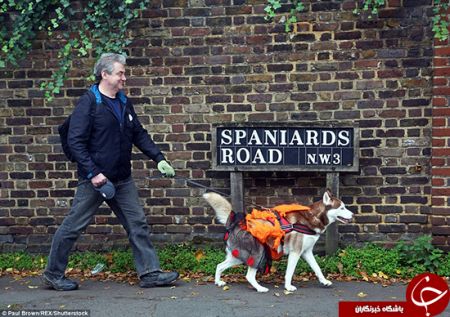 اخبارگوناگون,خبرهای گوناگون, جشن هالووین