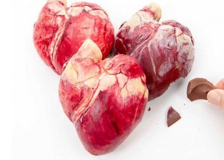   اخبارگوناگون  ,خبرهای  گوناگون,شکلات هایی که جرات خوردنشان را ندارید