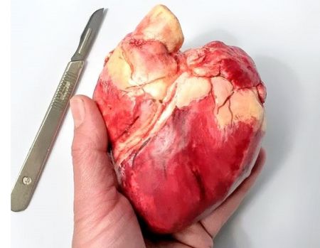   اخبارگوناگون  ,خبرهای  گوناگون,شکلات هایی که جرات خوردنشان را ندارید