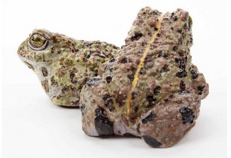   اخبارگوناگون  ,خبرهای  گوناگون,شکلات هایی که جرات خوردنشان را ندارید