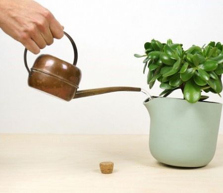 اخبار,اخبار گوناگون,گلدان خودآبیار