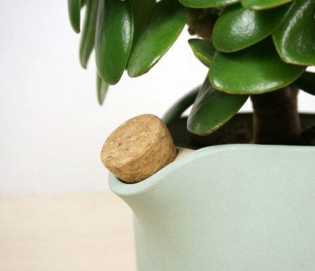 اخبار,اخبار گوناگون,گلدان خودآبیار