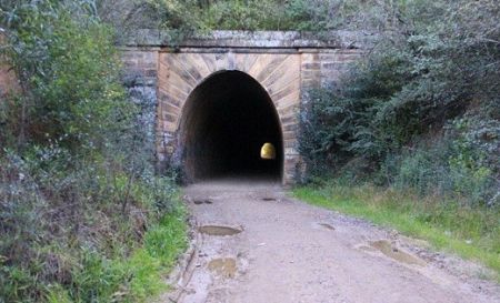 اخبار,اخبار گوناگون,پرورش قارج