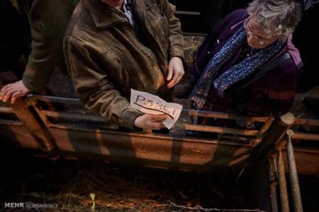 اخبار,اخبارگوناگون,بوقلمون