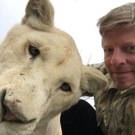 اخبار,اخبار گوناگون,شیرهای تاجگان