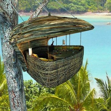 اخبار,اخبار گوناگون,رستوران درختی