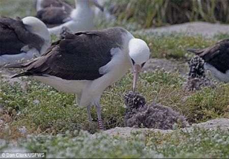 اخبار,اخبار امروز,اخبار جدید