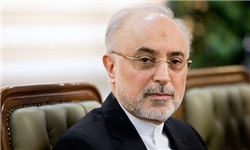 صالحی: واکنش قاطع و شدید ایران به نقض برجام / آغازگر نقض تعهدات نخواهیم