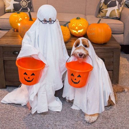 اخبارگوناگون,خبرهای گوناگون,دوستید