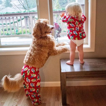 اخبارگوناگون,خبرهای گوناگون,دوستید