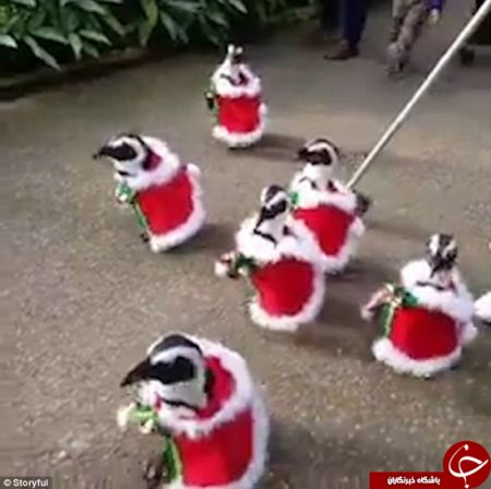 اخبارجدید,خبرهای جدید,اخبار جدید اخبارجدید,خبرهای جدید,اخبارجدید