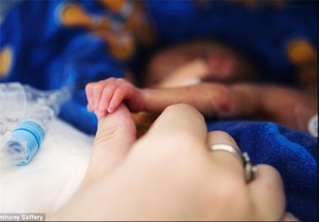 اخبارگوناگون,خبرهای گوناگون,کوچکترین سهقلوه اخبارگوناگون,خبرهای گوناگون,کوچکترین سهقلوه