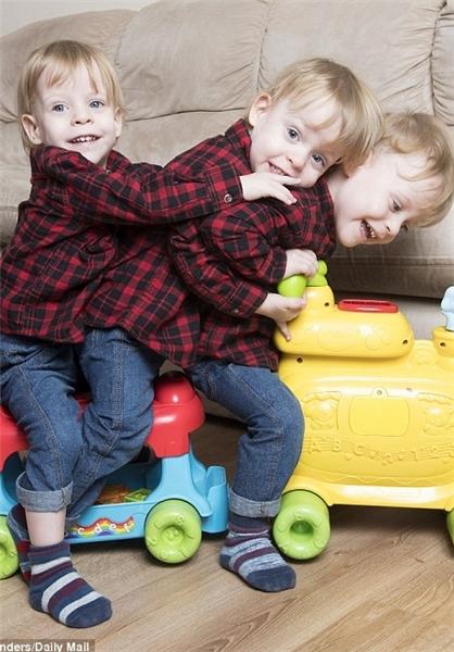 اخبارگوناگون,خبرهای گوناگون,کوچکترین سهقلوه اخبارگوناگون,خبرهای گوناگون,کوچکترین سهقلوه