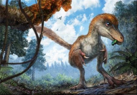 اخبارگوناگون,خبرهای گوناگون,کشف دم دایناسور اخبارگوناگون,خبرهای گوناگون,کشف دم دایناسور