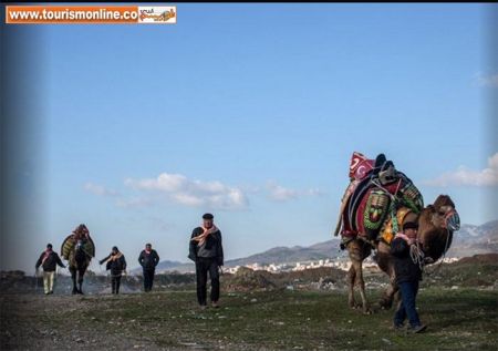 اخبارگوناگون,خبرهای گوناگون,شتر