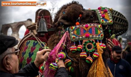 اخبارگوناگون,خبرهای گوناگون,شتر