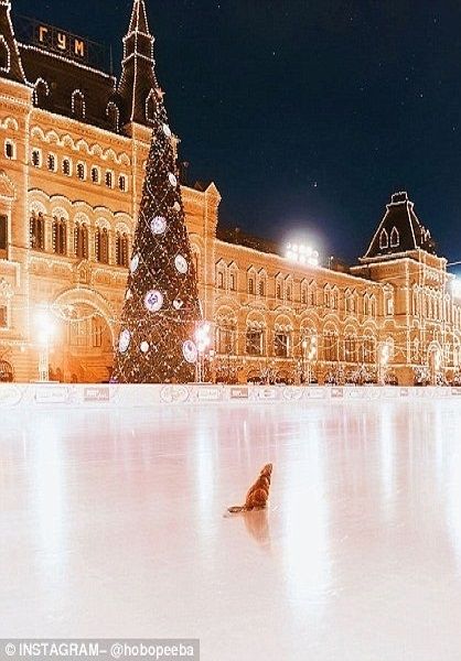 اخبارگوناگون,خبرهای گوناگون,مسکو