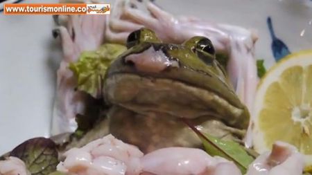 اخبارگوناگون,خبرهای گوناگون, صرف غذا