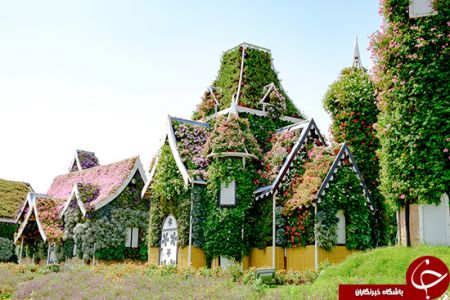 اخبارگوناگون,خبرهای گوناگون,باغ معجزه